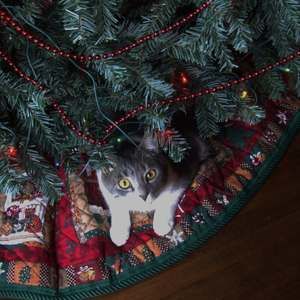 Meet your Posher, Daisy weatherfield